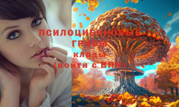 бошки Пересвет