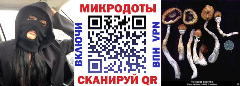 Псилоцибиновые грибы GOLDEN TEACHER  shop Telegram  Камень-на-Оби 
